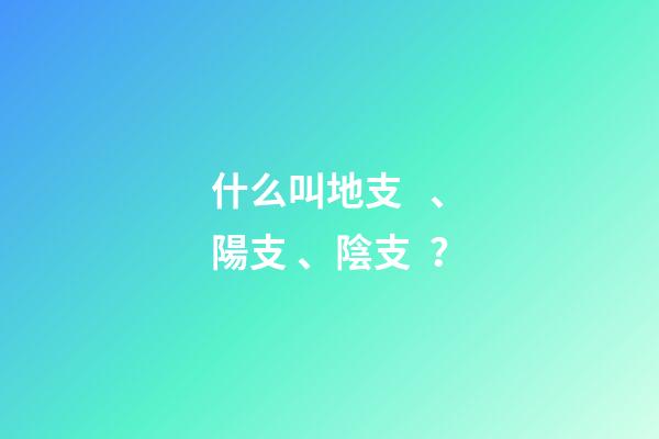 什么叫地支、陽支、陰支？